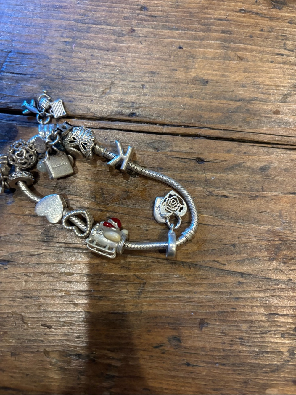 Pandora Charm Bracelet - Picture 6 of 9